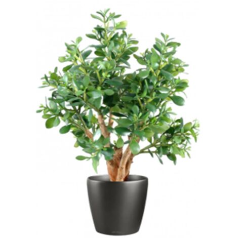 70cm Artificial Deluxe Jade Plant