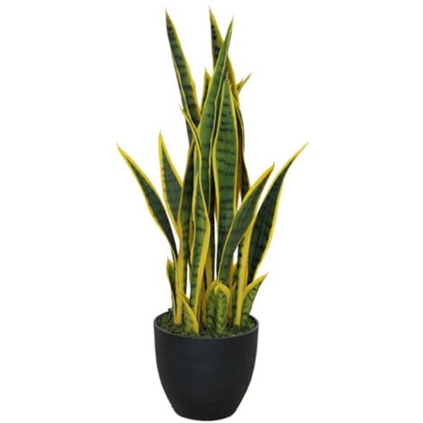70cm Artificial Sansevieria with pot