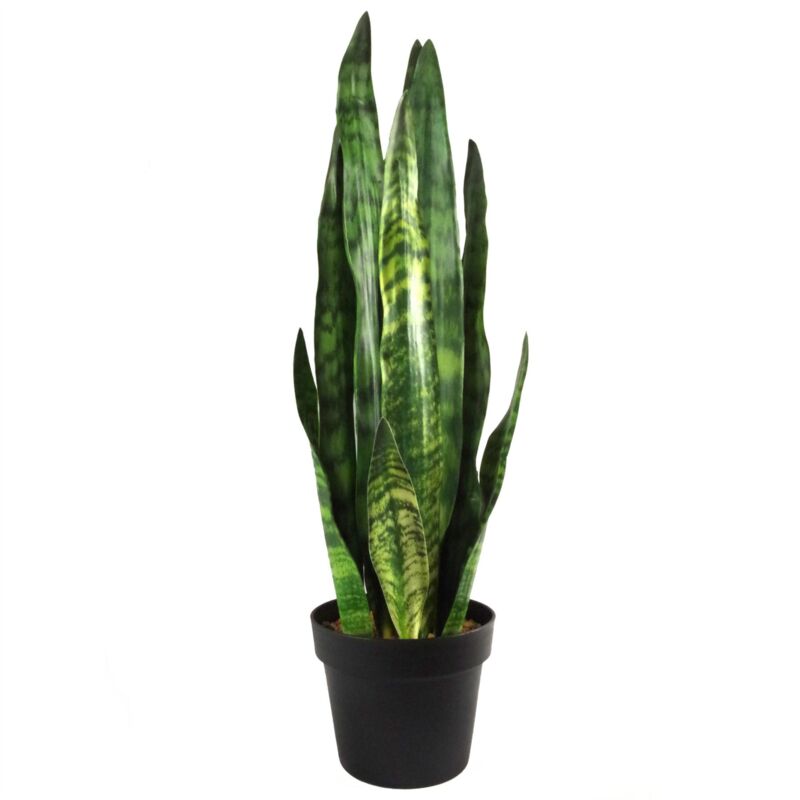 Leaf 70cm Artificial Sansevieria Zeylanica Plant