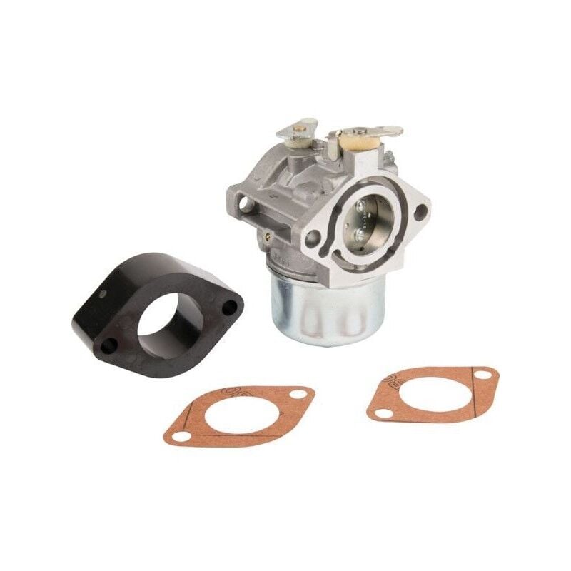Briggs&stratton - 715625 - Carburateur pour moteur briggs et stratton