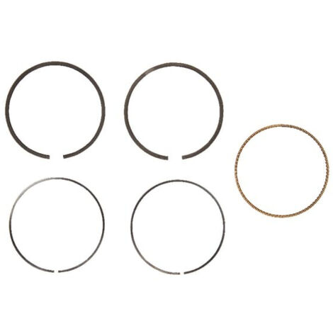 791969 - Jeu de Segments pour moteur BRIGGS et STRATTON
