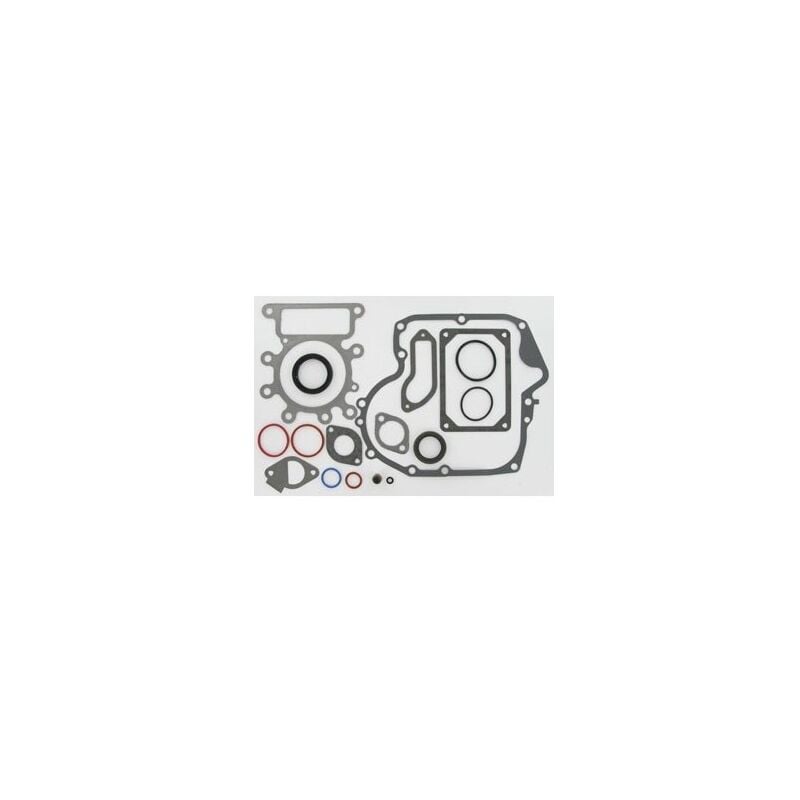 Briggs&stratton - 796181 - Pochette de Joints pour Moteur Briggs et Stratton