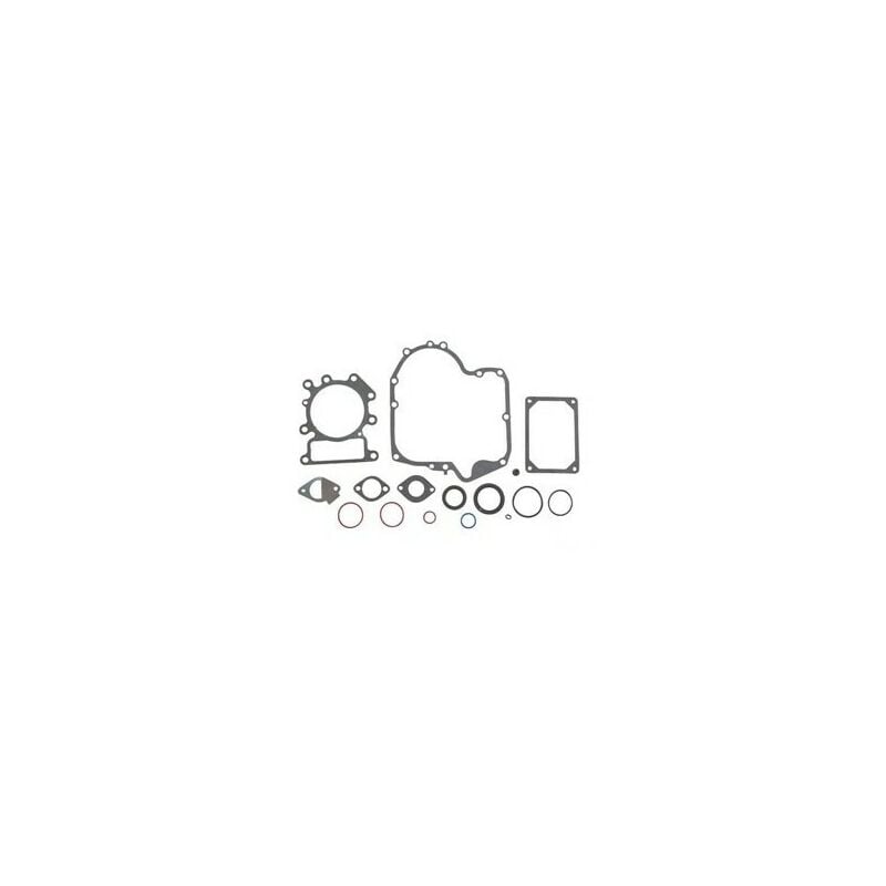 Briggs&stratton - 796187 - Pochette de joints pour moteur briggs et stratton