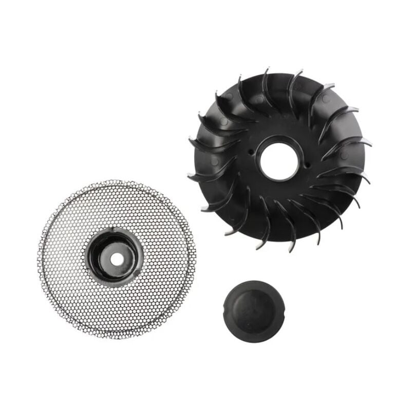Briggs&stratton - 796201 - Ventilateur de volant pour moteur briggs et stratton