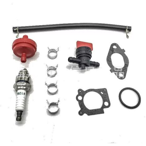 796608 Parti di ricambio carburatore per motore Briggs & Stratton 796608 Parti di ricambio carburatore per motore Briggs & Stratton 591137 590948 Parti di ricambio carburatore 775ex