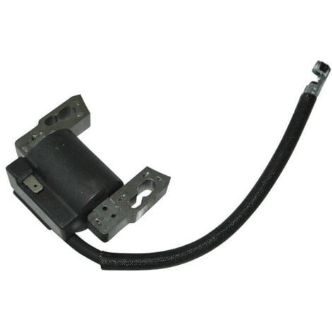 797040 Bobina di accensione ad alta tensione compatibile con serie 700, 750EX, DOV inossidabile adattabile