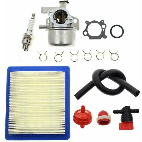 799866 Kit carburateur avec et filtre à air Compatible avec moteurs Briggs & Stratton 790845 799871 799866 796707 79430