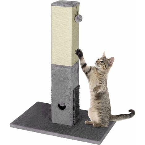 Milo and hotsell misty scratching post