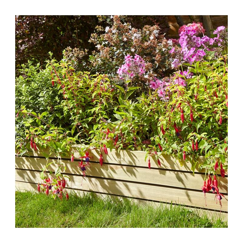Ledbury Edging Panels 8 Inch - 2 Pack - Rowlinson