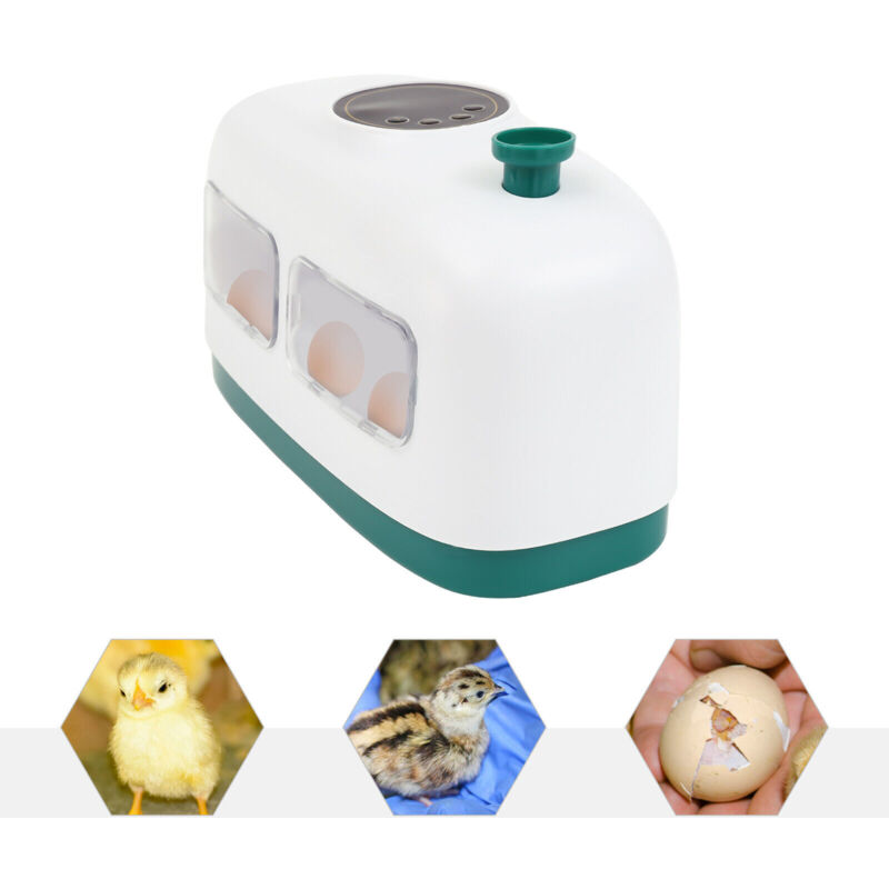 8 Oeufs Incubateur Automatique Couveuse Entièrement Automatique Couveuse Oeufs