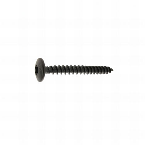 8 vis penture torx acier zingé noir - diamètre 7 mm mm