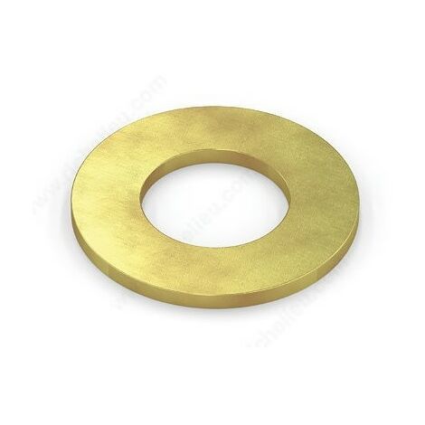 90060350008 - Rondelle plate pour moteur de Débroussailleuse ECHO