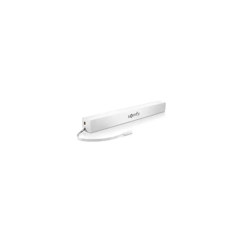 Somfy - 9021217 - Batterie lithium-ion externe