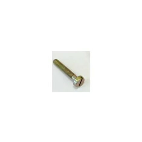 9079-319-1070 - Vis M5X30 DIN85 pour Tronçonneuse STIHL