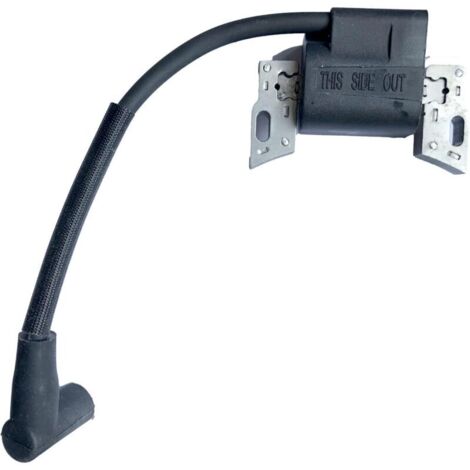 98534 799582 593872 593381 Armature-magnéto adapté pour Briggs et Stratton 84005272 bobines d'allumage de moteur