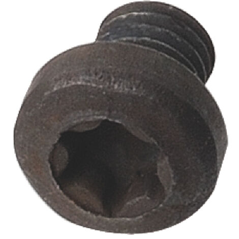 990.056.00 TORNILLO TORX T15   M4X4X6.2