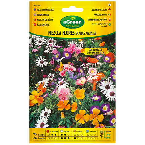 à Propos Des Graines Mixtes Fleurs Annuelles Naines 300593bolsh Daccord - Agreen
