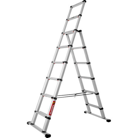 A. Teleskopleiter Stehleiter TELESTEPS COMBI 6 und 2 Sprossen