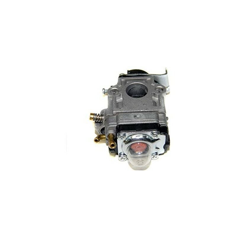 Echo - A021000810 - Carburateur pour Souffleur
