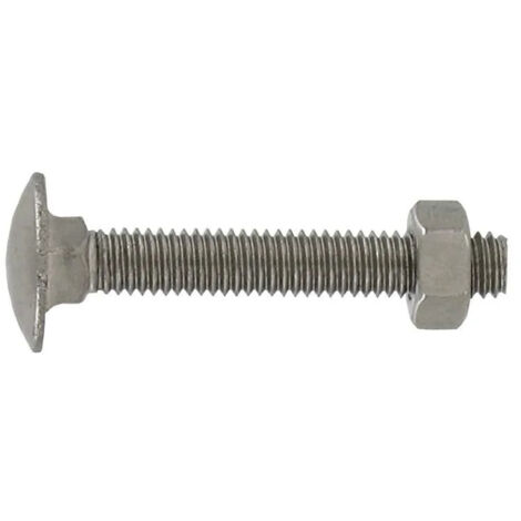 A2 acero inoxidable 6x60mm cabeza redonda perno de cuello cuadrado, 4 piezas.