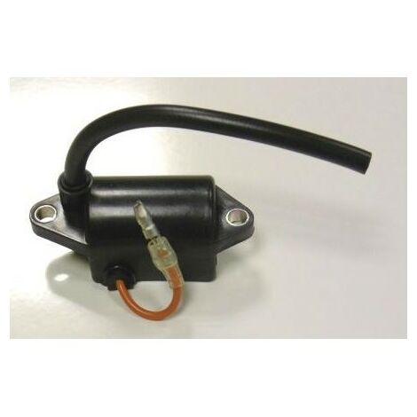 A411001020 - Module d'Allumage pour Tronçonneuse Shindaiwa