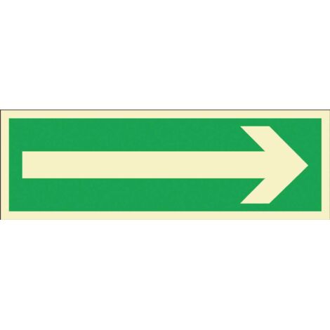 AA008 Direction de la voie d'évacuation 300X100 TS