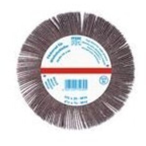 ABANICO ANGULAR FR WS 12520 A60 M14 - PFERD