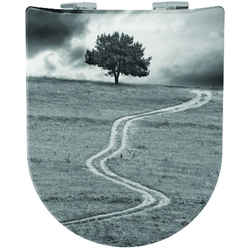 Homemaison - Abattant wc Wood Slim life, descente assistée et déclipsable - Olfa