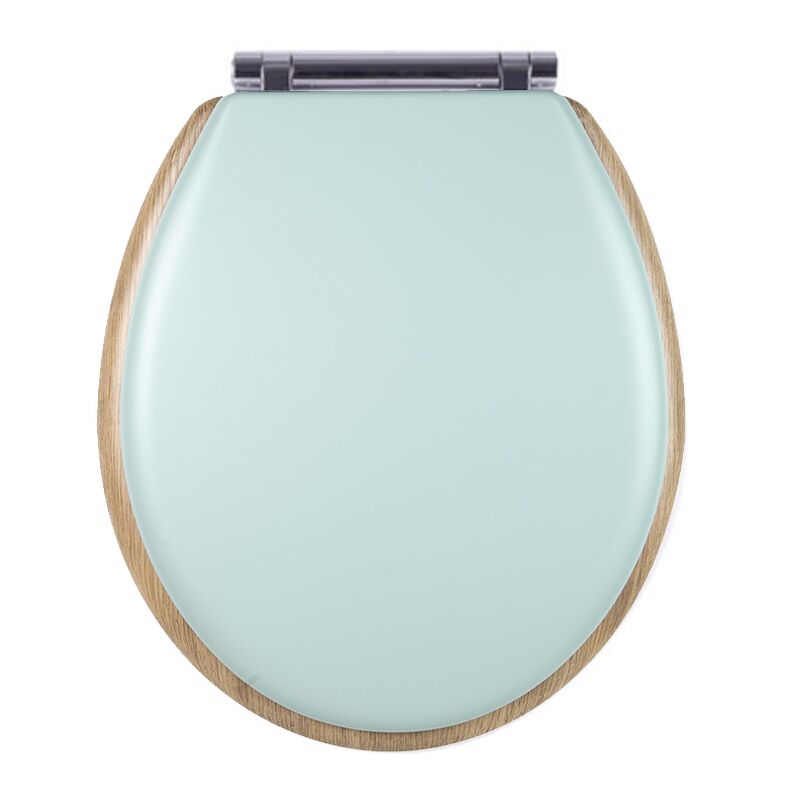 Abattant wc tradition Retro Vert, descente assistée et déclipsable - Olfa