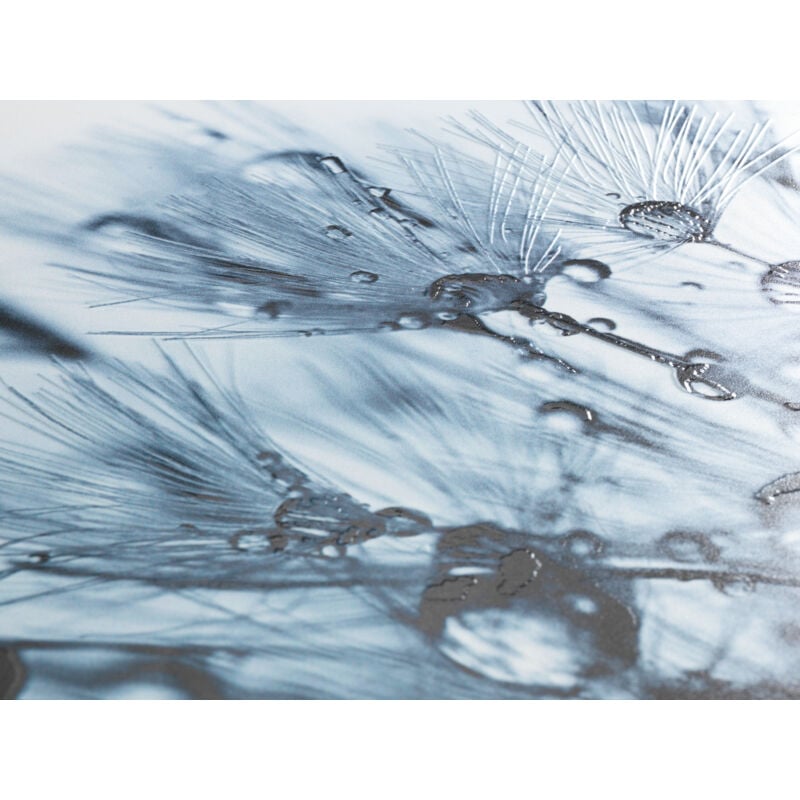 Wenko - Abattant wc Sereno Relief Multicolore 36.5 cm Easy Close Abattant wc Thermoplastique à descente assistée Décor fleuri Fixations inox