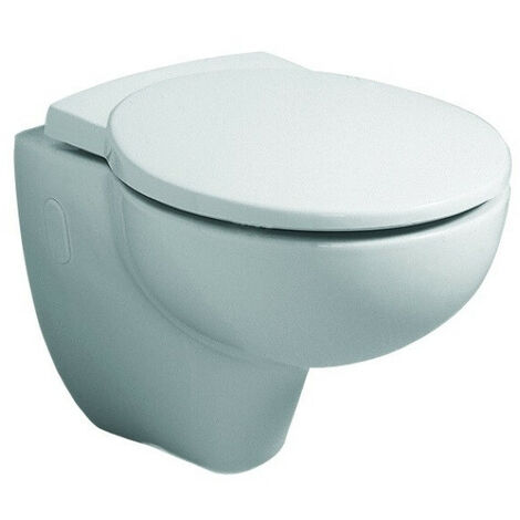 Abattant WC JOLY avec couvercle, charnière amovible : acier inoxydable, avec mécanisme de fermeture amortie, blanc GEBERIT