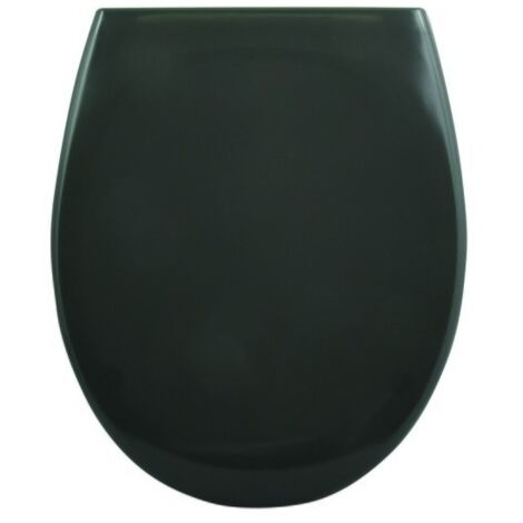 Abattant wc 2025 gris anthracite