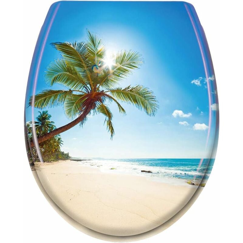 Naizy - Abattant wc Toilette avec fermeture douce Siège de toilette Frein de Chute Plastique taille universelle (Plage)