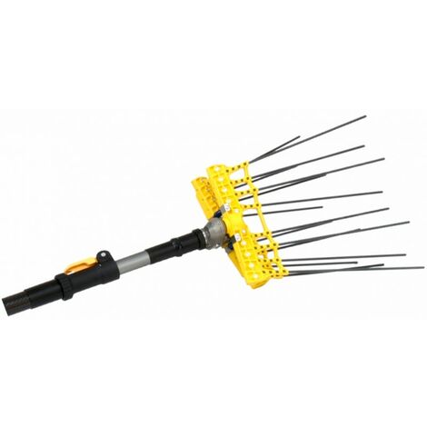 Abbacchiatore Elettrico Lisam Swing 12v
