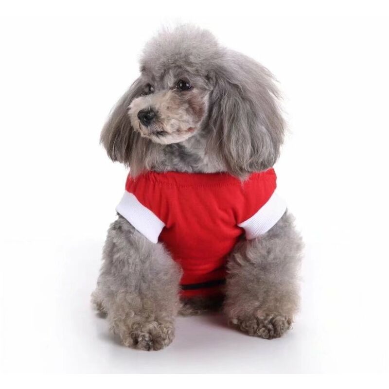 Abbigliamento da compagnia, Abbigliamento per