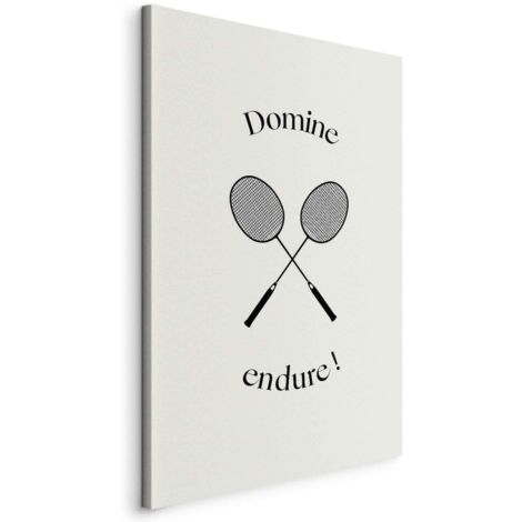 Abbildung – Schwarze Badmintonschläger