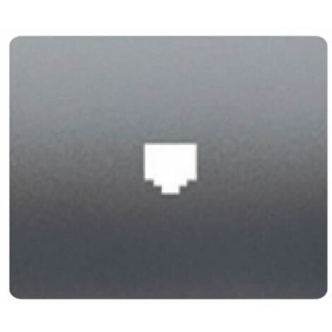 Abdeckbuchse TELF oder RJ45 STEEL NEPTUNE BJC IRIS 19782-AN