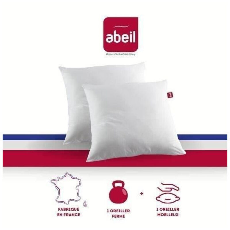 ABEIL 2 Oreillers 60 x 60 cm