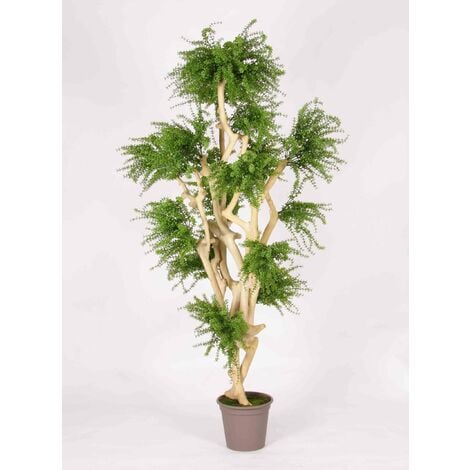 ZXXDD Piante finte, pianta artificiale per bonsai, 50 cm, in finto vaso di  pino bonsai, albero finto, per decorazione da tavolo, esposizione di piante  artificiali da interno : : Casa e cucina