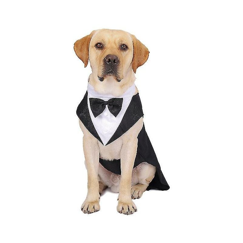 Abito per cani Abito per animali Abito per cani Tuxedo Abito per feste di matrimonio (xxl)