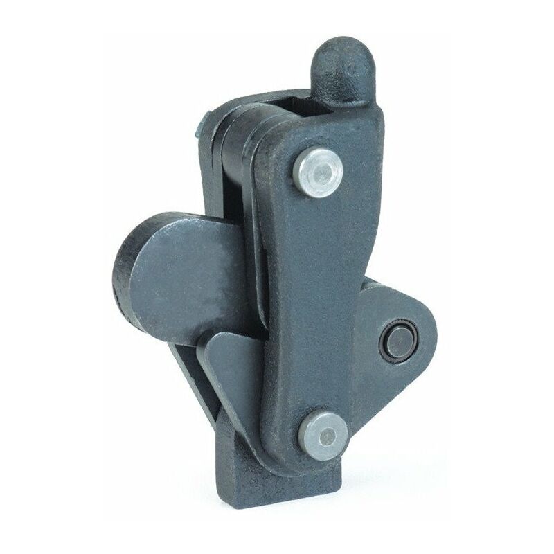 

Abrazadera de módulo n. ° 6809P tamaño 4 con pie giratorio soldable - AMF