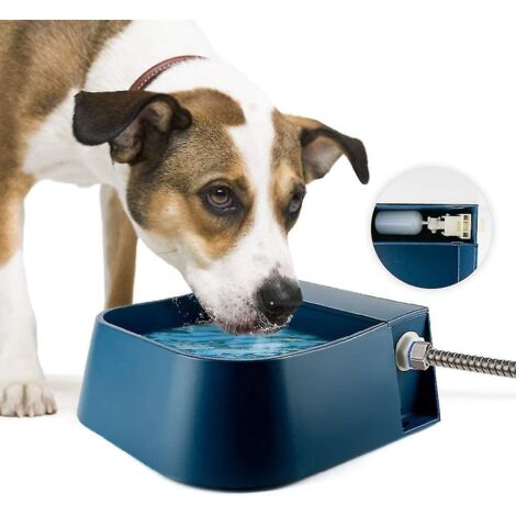 Abreuvoir automatique pour chiens, chevaux, bovins et moutons, avec flotteur.