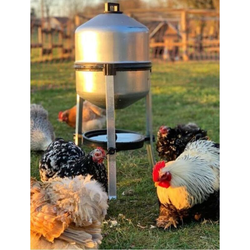 Abreuvoir Poules en tôle zinguée avec réservoir de 25 litres, Facile à remplir, déranger et Nettoyer