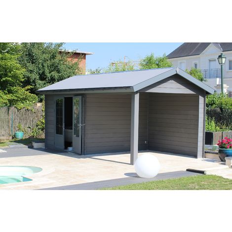 Abri de jardin - Pool House aluminium et composite 6 x 3 avec toit 2 pentes -Résitant aux intempéries - Durable - Sans entretien