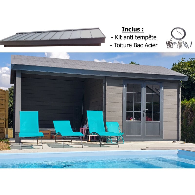 Abri de jardin - Pool House aluminium et composite 6 x 3 avec toit 2 pentes -Résitant aux intempéries - Durable - Sans entretien + Kit anti tempête +