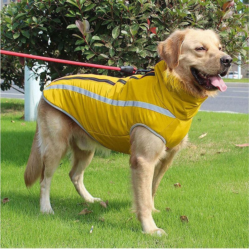 

Abrigo impermeable para perros Chaqueta mediana para perros Ropa para perros grandes (Amarillo, 4XL)