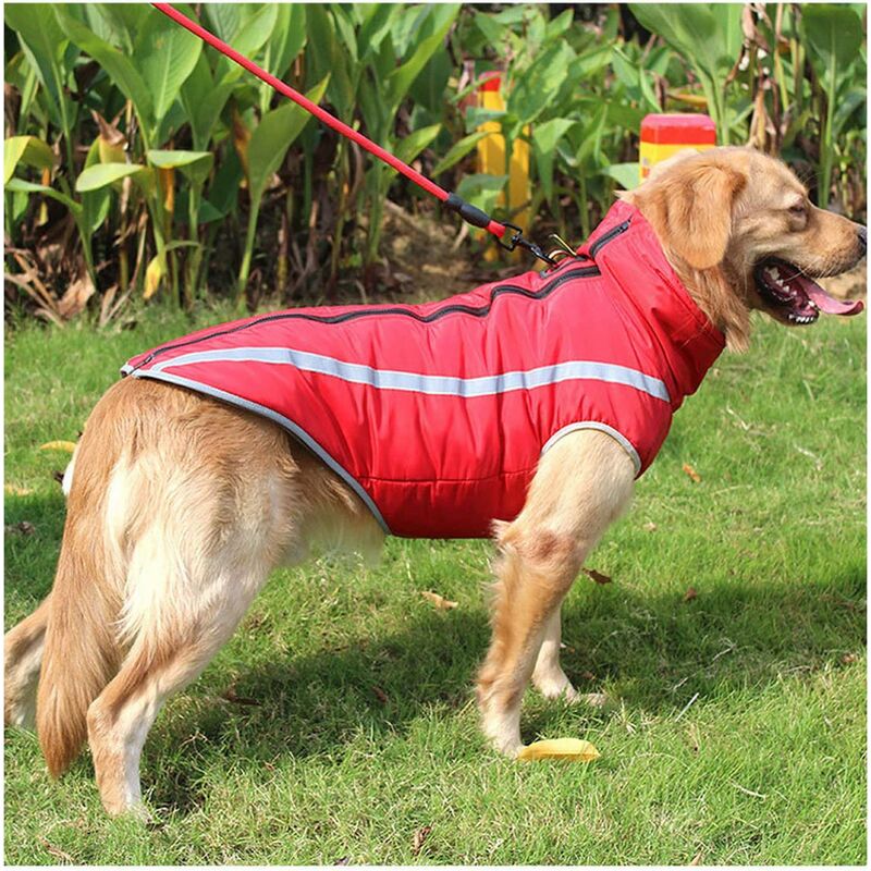 

Abrigo impermeable para perros Chaqueta mediana para perros Ropa para perros grandes （rojo ， 4XL）