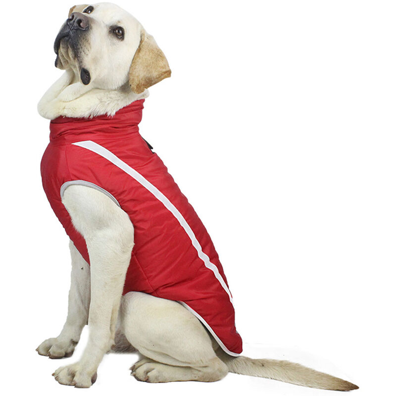 

Happyshopping - Abrigo reflectante impermeable a prueba de viento para perros, otono e invierno, chaqueta de poliester calida y gruesa para perros,