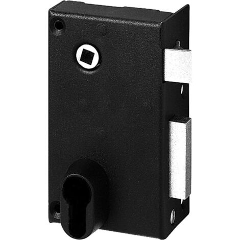 Abus Coperchio lucchetto FE9814102A SA V CE D 70 x 120 mm (consegnato senza lucchetto)