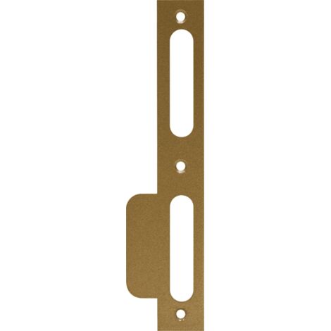 ABUS Wohnungstür-Schließblech LSB 170 L G